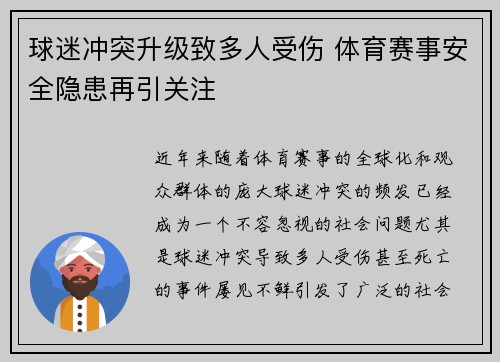 球迷冲突升级致多人受伤 体育赛事安全隐患再引关注